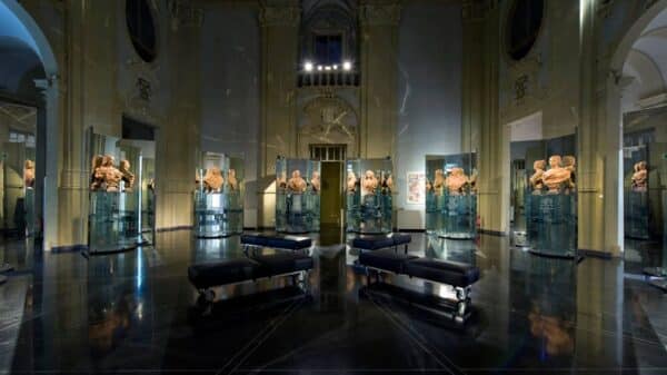 Donne Genus Bononiae