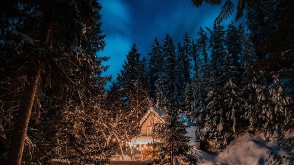 Fotografia di una baita in mezzo al bosco con il cielo "nell'ora blu" e alcune luci accede sul patio della casa