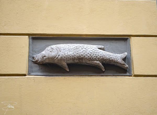 La scultura del pesce in Via dal Luzzo a Bologna (Elisa Barbari elisabarbari.wixsite.com)