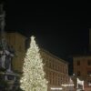 Bologna a Natale (©Bologna)