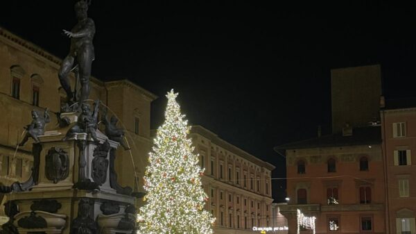 Bologna a Natale (©Bologna)
