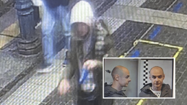 Marin Jelenic (©Marin Jelenic)