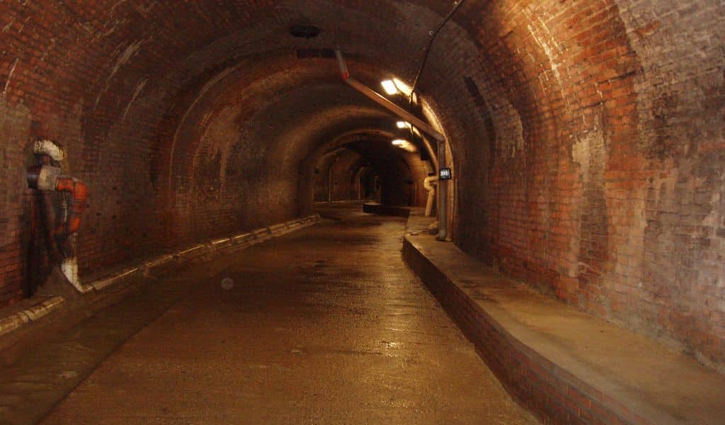 L'Aposa intombato in città a Bologna