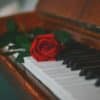 Immagine di una rosa sulla tastiera di un pianoforte