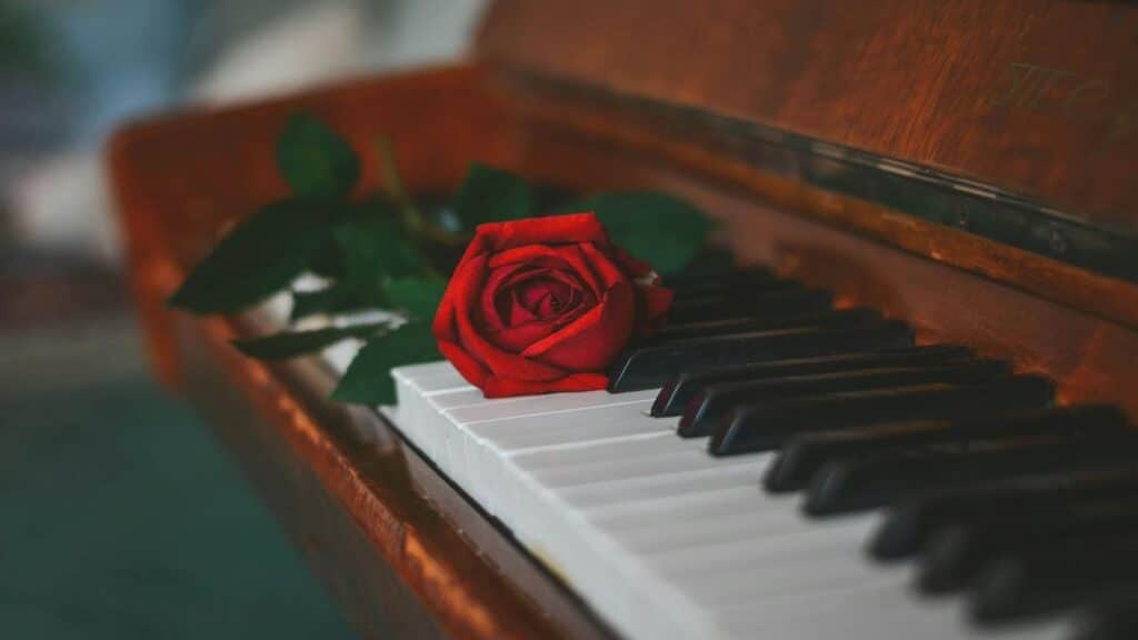 Immagine di una rosa sulla tastiera di un pianoforte
