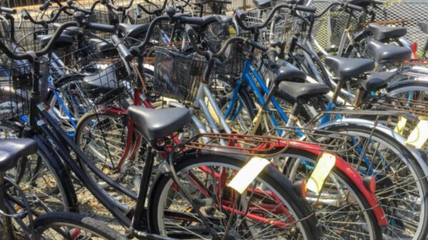 Nuova vita alle bici abbandonate: a Bologna il piano per recuperare i ruderi (©Il Resto del Carlino)