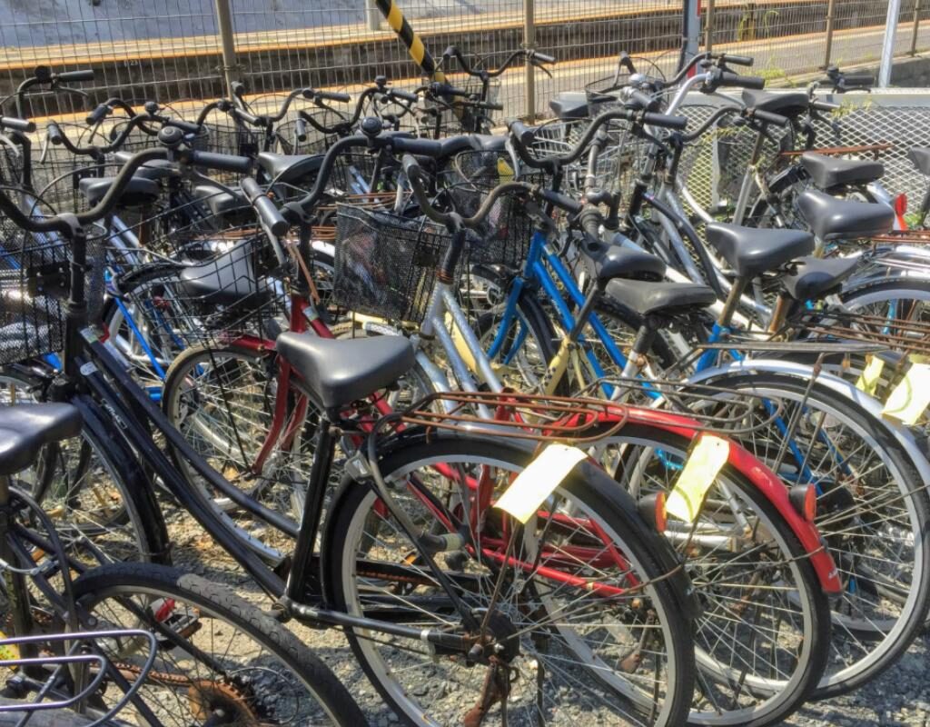 Nuova vita alle bici abbandonate: a Bologna il piano per recuperare i ruderi (©Il Resto del Carlino)