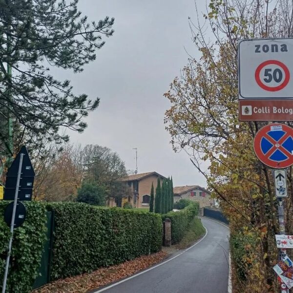 Viabilità colline Bologna (fonte immagine: Foto di Comune di Bologna)
