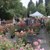 Giardini e Terrazzi Bologna
