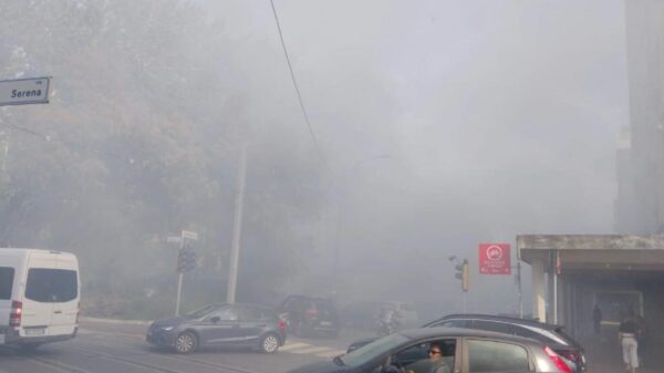 Doppio incendio nel quartiere San Donato-San Vitale (è TV Rete 7