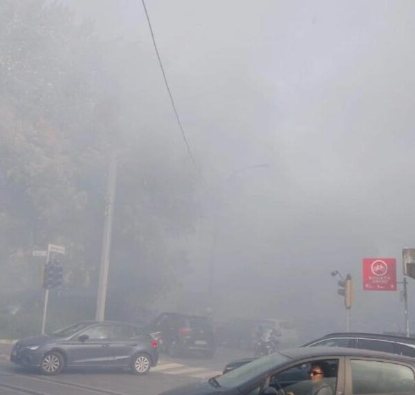 Doppio incendio nel quartiere San Donato-San Vitale (è TV Rete 7