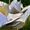 Libri su un prato estivo
