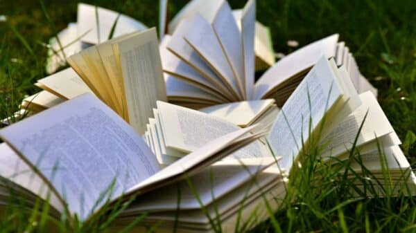 Libri su un prato estivo