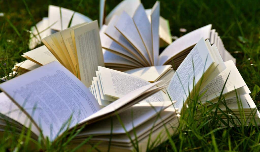 Libri su un prato estivo