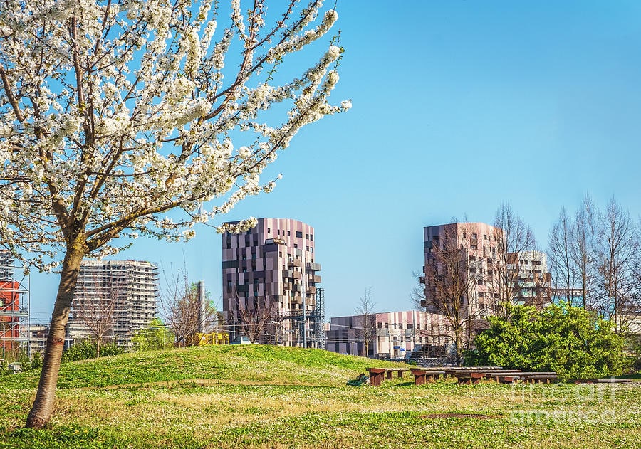 Quartiere Navile