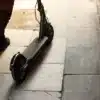 Bologna, il problema dei monopattini elettrici