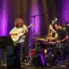 Pat Metheny playing on acoustic - Deposiphotos
