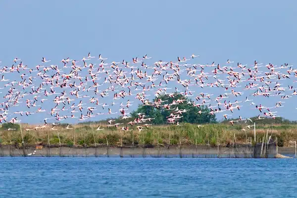 Delta del Po, tra i siti Unesco dell'Emilia-Romagna