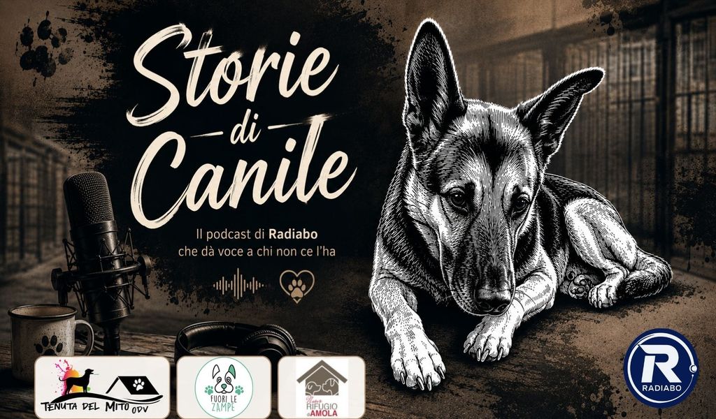 Storie di Canile, il podcast di Radiabo